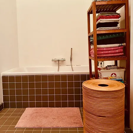 Luxurious With Zen Atmosphere In Zurenborg