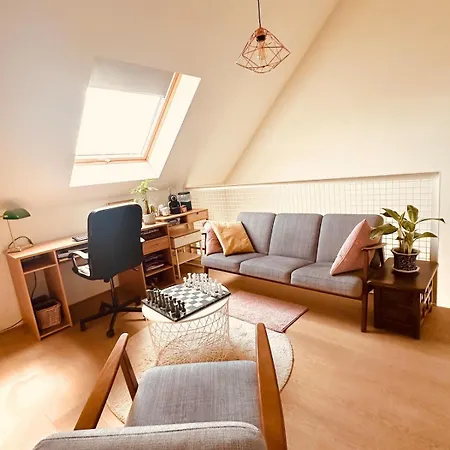 Luxurious With Zen Atmosphere In Zurenborg 안트베르펜